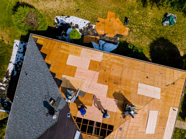 Roof Gutter Cleaning in Pimlico, SC